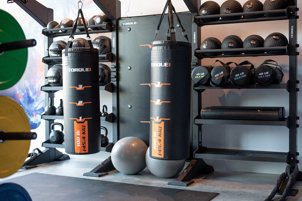 Fitness Center With Updated Equipment at Novi Flats, North Carolina