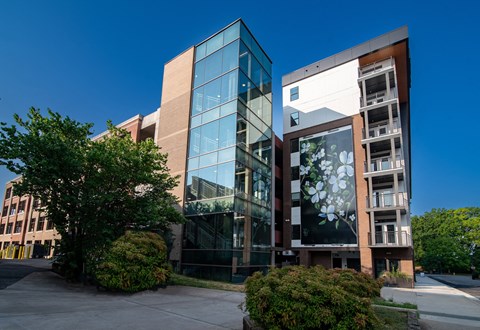 Apartment Building Exterior View at Novi Flats, Concord