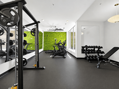 A gym with a green wall and various exercise equipment.