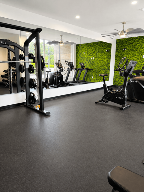 A gym with a green wall and a variety of equipment.