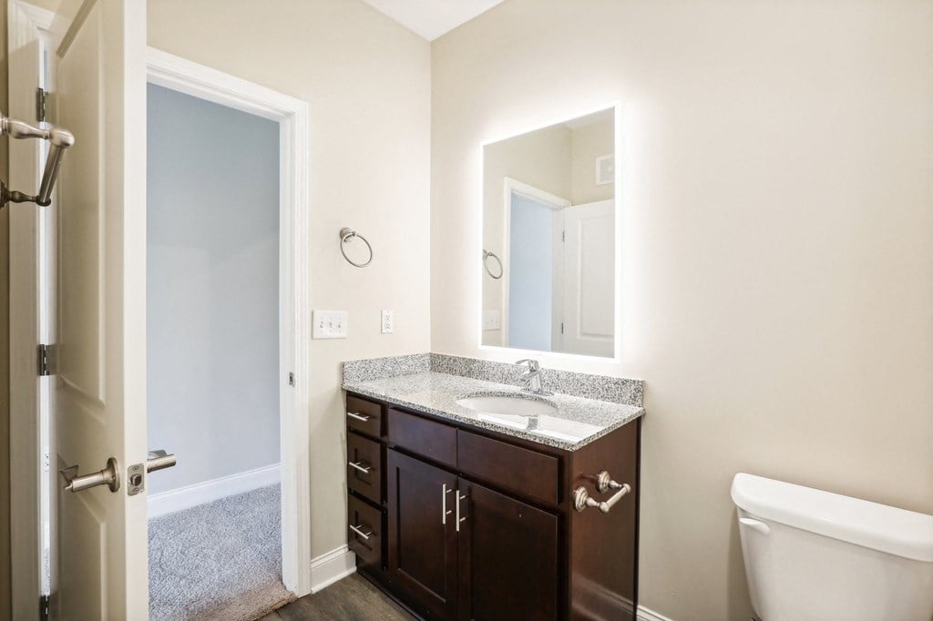 a bathroom with a sink and mirror and a toilet