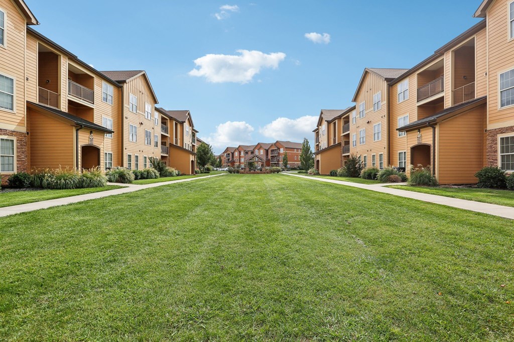 an empty lawn in front of a row of houses