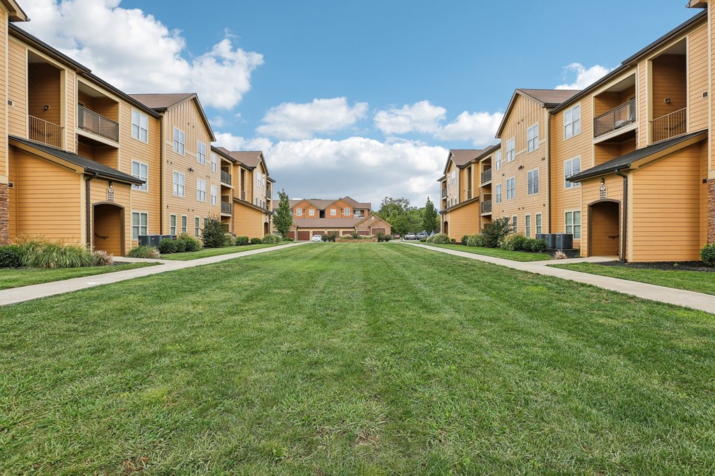 a green lawn in front of a row of houses