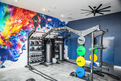 Two Level Fitness Center at Novi Flats, Concord, North Carolina