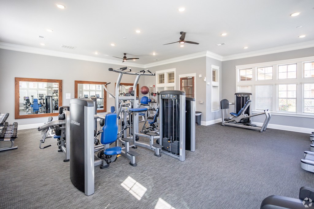 the gym at 1861 muleshoe road