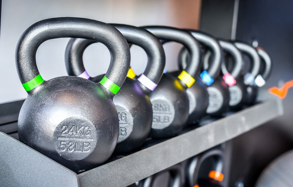Free Weights at Novi Flats, Concord, 28025