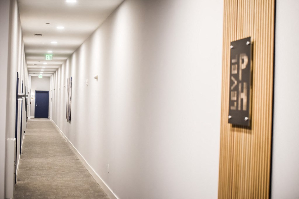 Large Hallway View at Novi Flats, North Carolina