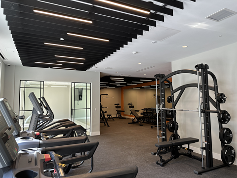Spacious fitness center at The Rail at Bound Brook with advanced equipment, offering a premium workout experience in a luxury, pet-friendly apartment setting.