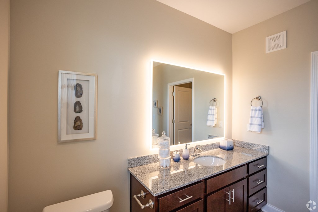 a bathroom with a sink and a large mirror