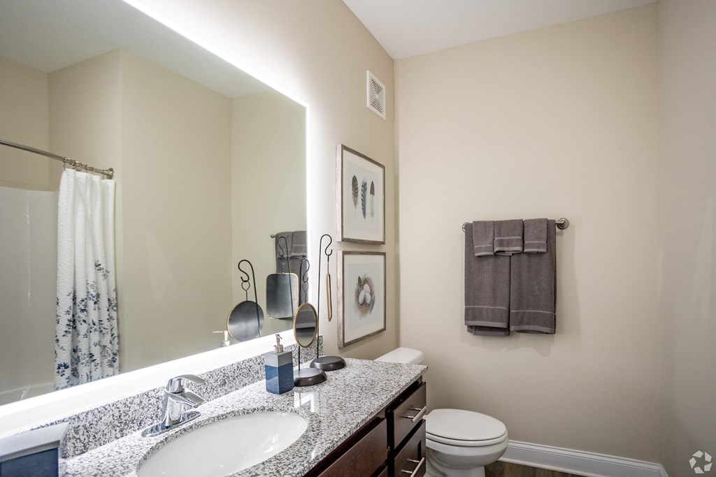 a bathroom with a large mirror and a sink and a toilet