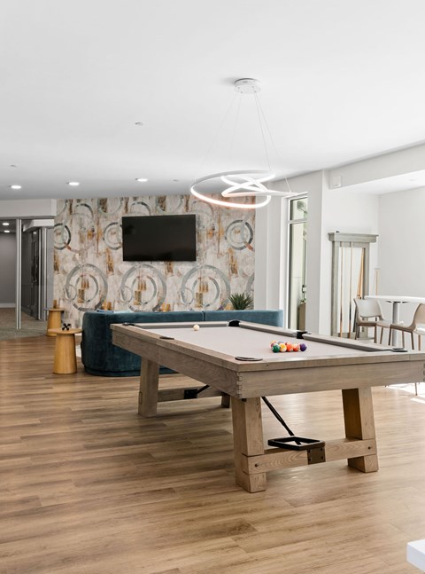 A pool table in a room with a television and a sofa.