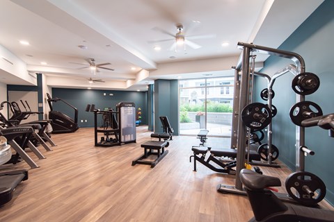 A gym with a variety of equipment including treadmills, weights, and a bench press.