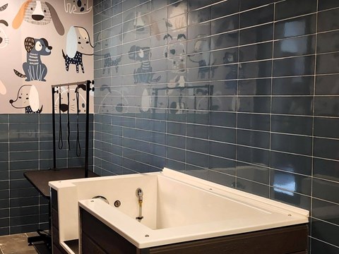Modern pet spa with grooming station and dog wash area at The Rail at Bound Brook apartments in Bound Brook, NJ.