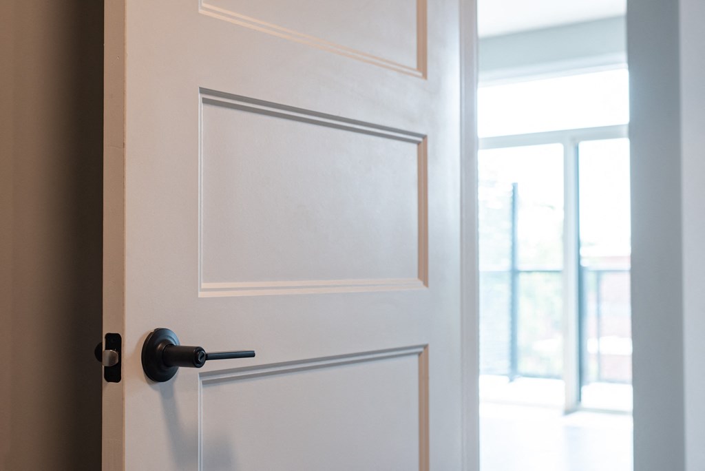 a white door with a black door handle and a window