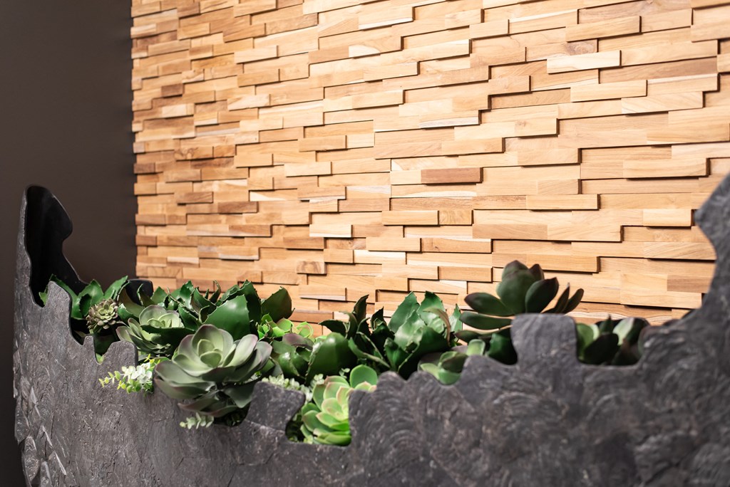 a succulent garden in front of a brick wall