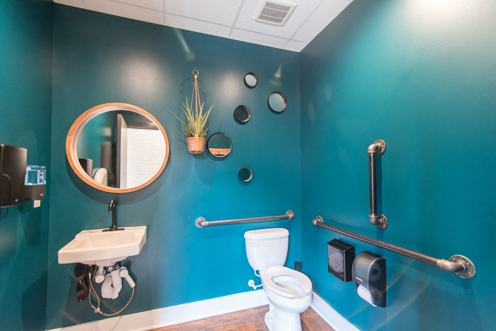 a bathroom with blue walls and a white toilet and a sink
