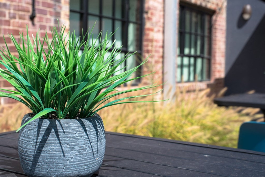 a potted plant sitting on top of a wooden table