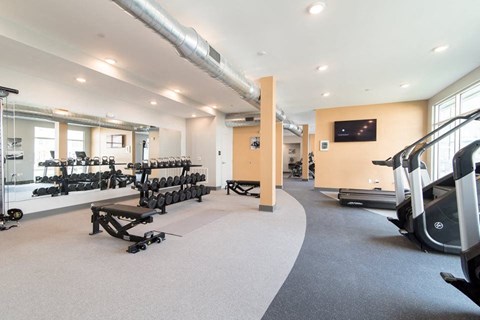 the gym is stocked with weights and cardio equipment