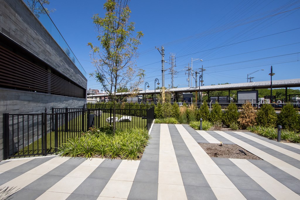 Dog Area at The Rail at Red Bank, New Jersey