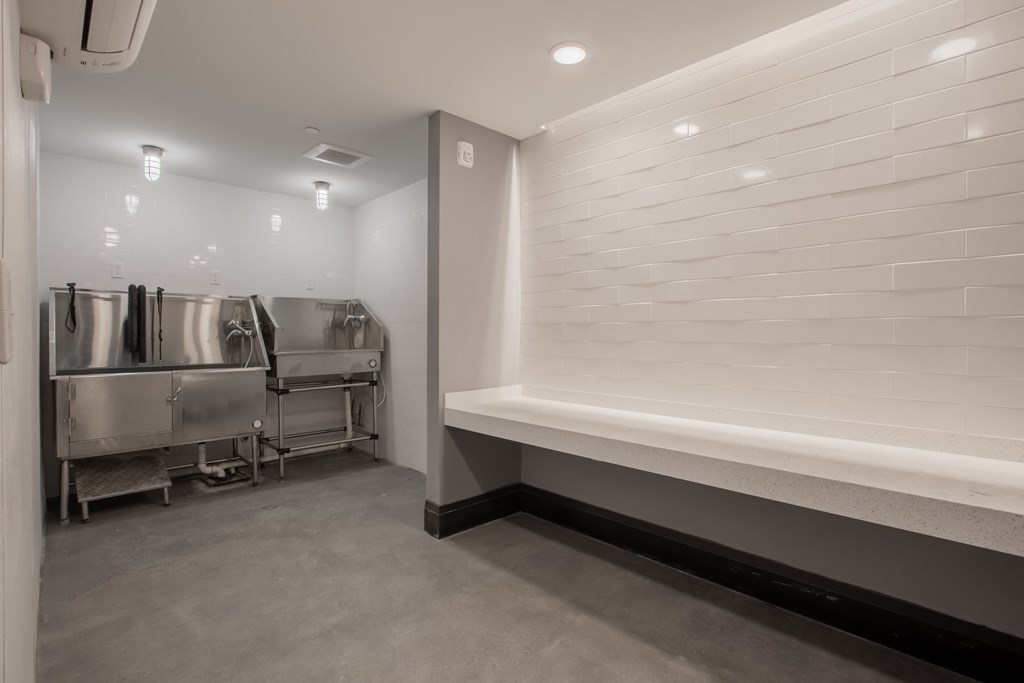 Dog Wash at The Rail at Red Bank, Red Bank, NJ, 07701