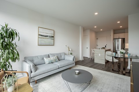 Bright open-concept apartment at The Rail at Bound Brook with a modern kitchen, living area, and dining nook—perfect for luxury downtown living.