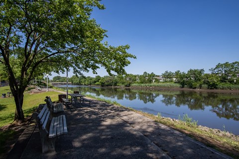 a park with benches and a tree next to a body of water