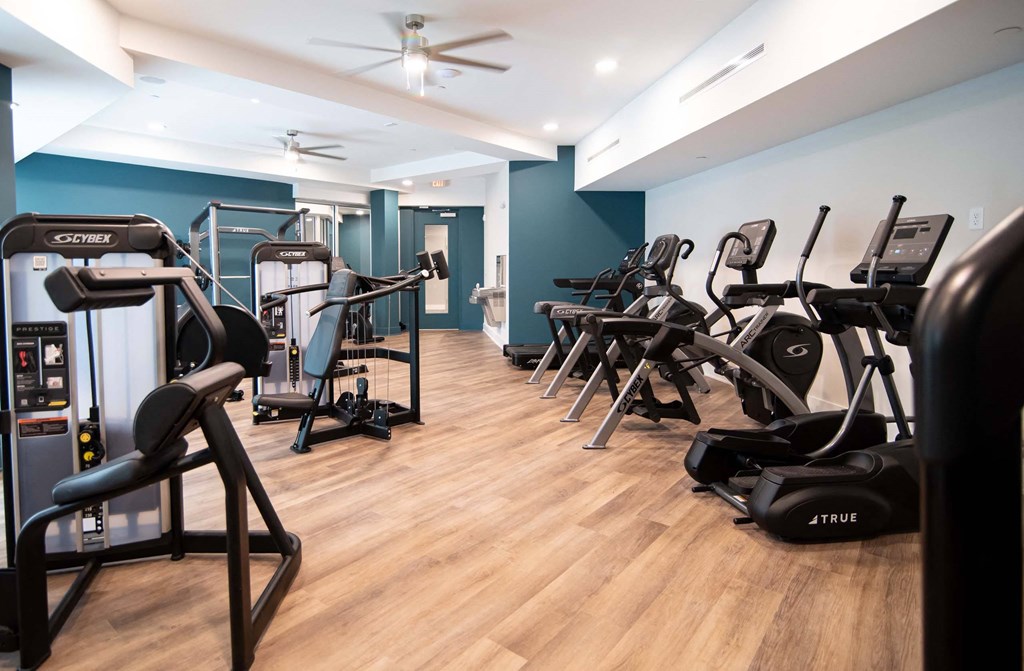 Treadmills and exercise equipment at Novi Rise in Concord, NC