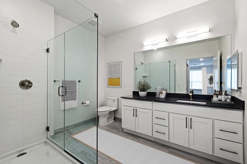 a bathroom with a shower and a sink and a mirror