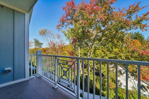Private Balcony