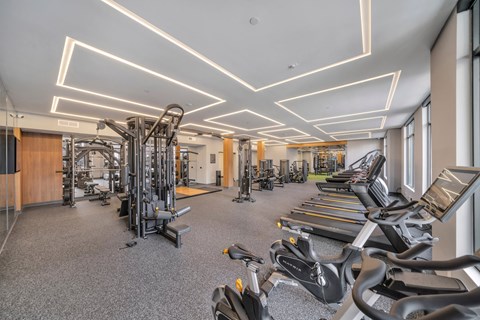 A gym with treadmills, weights, and other exercise equipment.