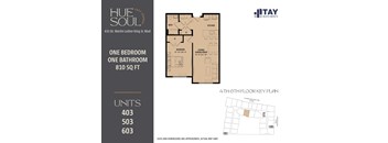 A floor plan for a 431 Dr. Martin Luther King Jr. Blvd apartment shows a one bedroom, one bathroom apartment is 810 square feet.