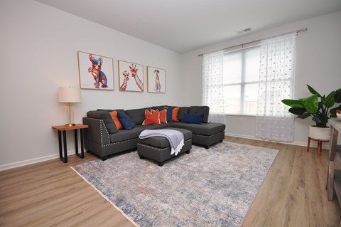 A living room with a grey couch and a rug.