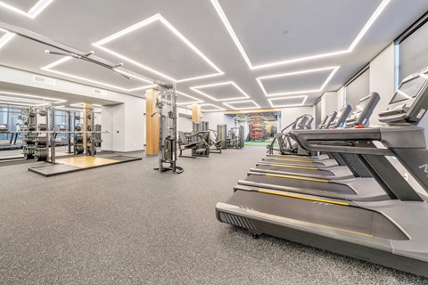 A gym with treadmills and other exercise equipment.