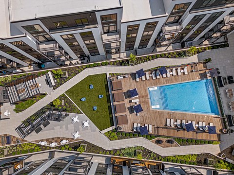 A large swimming pool surrounded by lounge chairs and greenery.