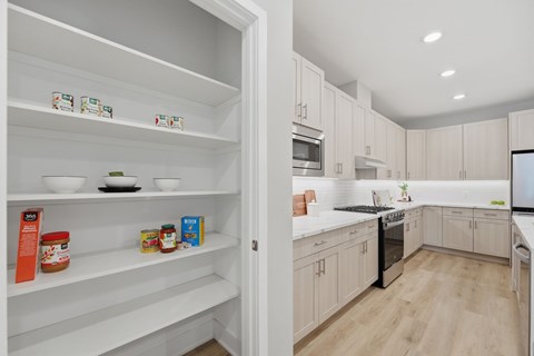 Kitchen Cabinetry and Pantry