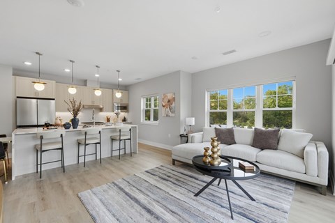 Huge living room with natural light