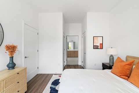 Large bedrooms with walk ikn closets