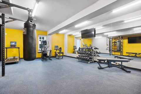 A gym with a punching bag, weights, and exercise equipment.