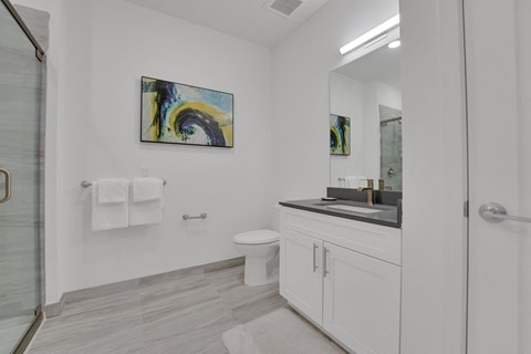 a bathroom with a sink and a toilet and a shower