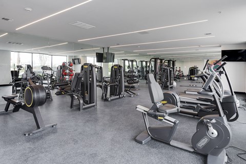 A gym with a variety of equipment including treadmills, weights, and exercise machines.