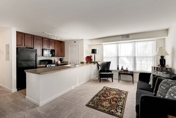 Multiple Interior Styles to Choose From Nice Apartment Rentals in National Landing Arlington VA - Photo Gallery 6
