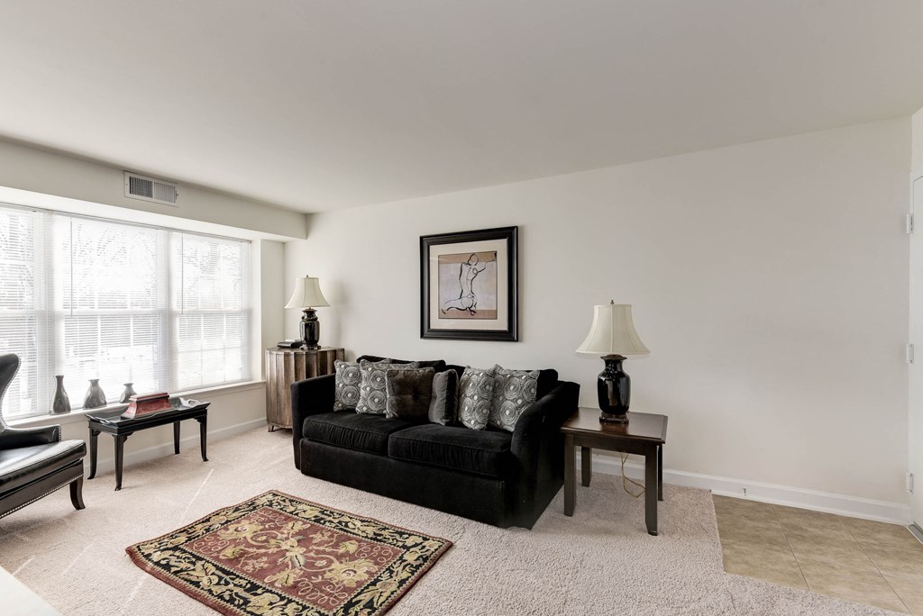 Great Apartment Rentals in National Landing Arlington VA