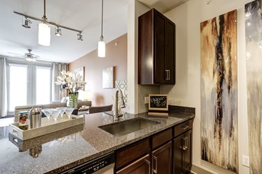 2341 Dulles Station Boulevard Studio-2 Beds Apartment for Rent - Photo Gallery 4