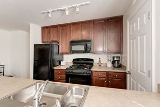 Kitchen Luxury Apartment Rentals in National Landing Arlington VA