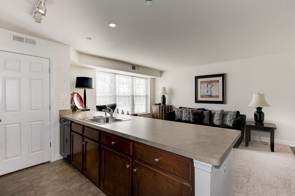 Luxury Apartment Rentals in National Landing Arlington VA