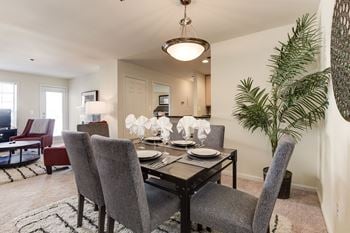 Modern Apartments in Rosslyn VA for Rent