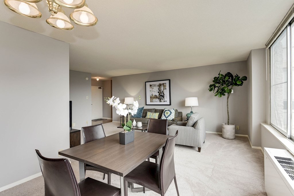 Apartment Rentals in Crystal City