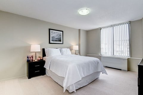 Apartment Rentals in Crystal City
