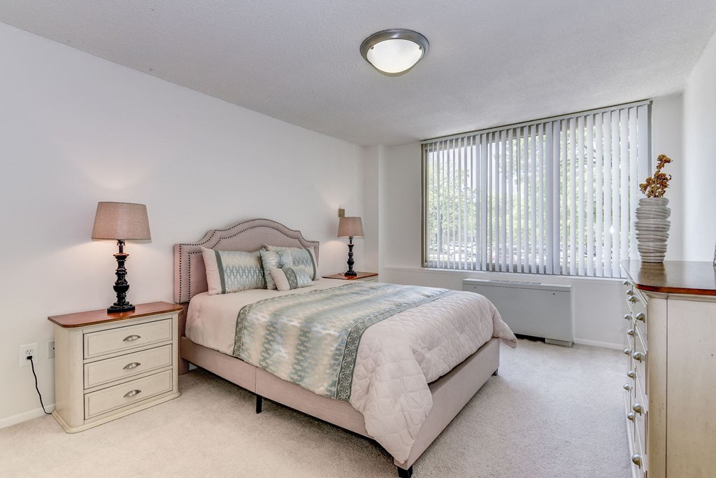 Modern Apartment Rentals in Crystal City Arlington VA