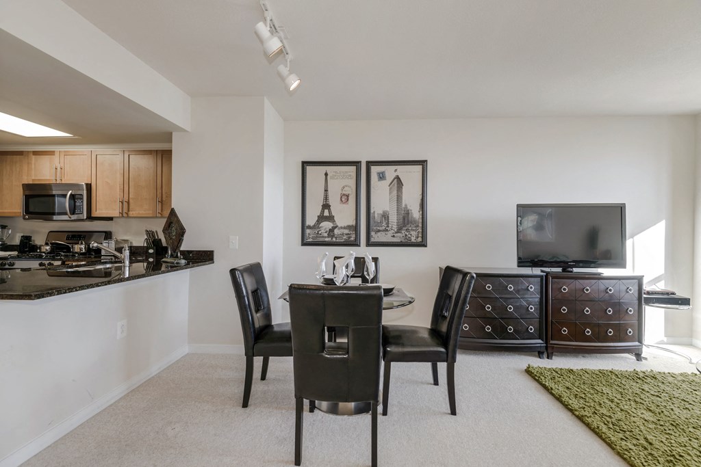 Modern Apartment Rentals in Pentagon City Arlington VA